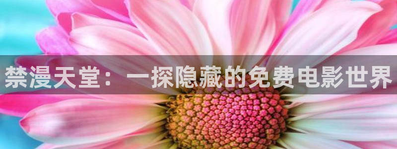 喵趣漫画网下载：禁漫天堂：一探隐藏的免费电影世界