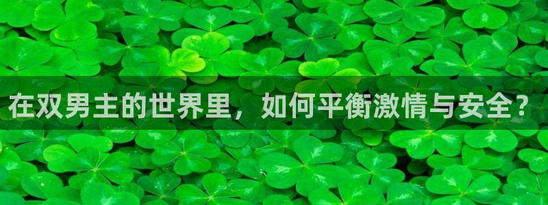 age漫画网：在双男主的世界里，如何平衡激情与安全？