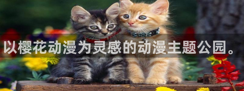 喵趣漫画