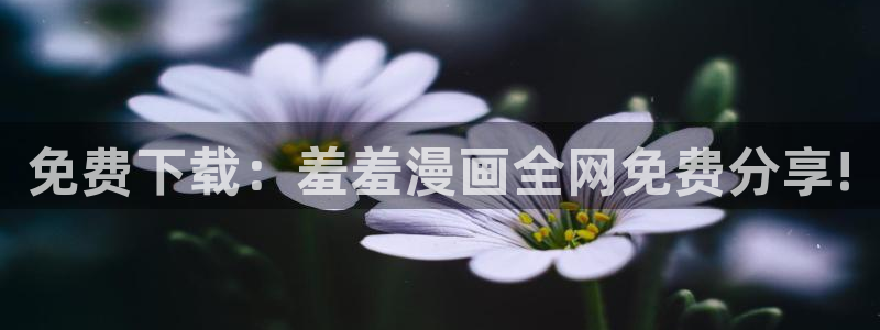 喵趣漫画官网在线入口
