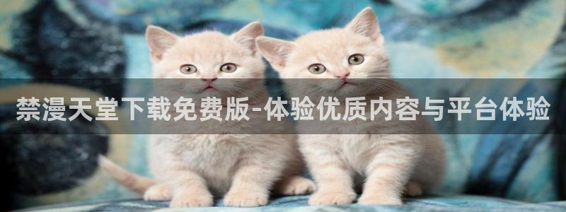 拷贝漫画 copymanager.ory网站：禁漫天堂下载免费版-体验优质内容与平台体验