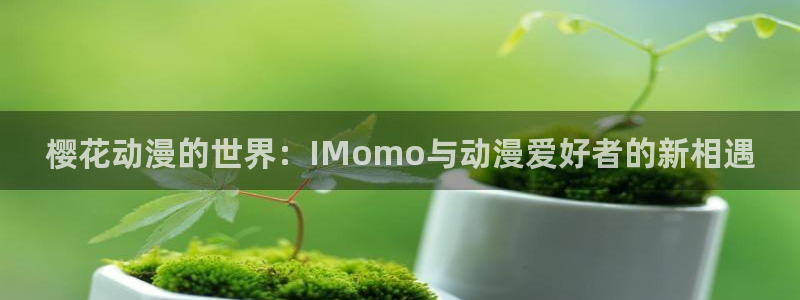 喵趣漫画官网樱花动漫：樱花动漫的世界：IMomo与动漫爱好者的新相遇